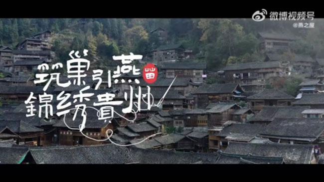 新浪公益推出公益短片：講述燕之屋筑巢引燕，錦繡貴州的公益之路
